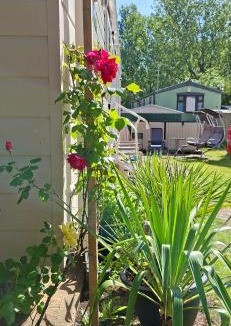 Great Houghton Apartment | Billing Aquadrome ,2 bedrooms, Royale Poplar KM 12