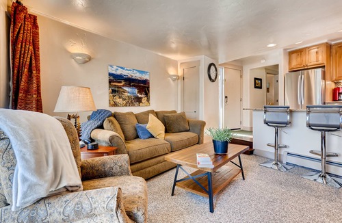 Park Forest Estates Condo | BRECKENRIDGE 2 BEDROOM CONDO, FREE SHUTTLE TO PEAK 8 & TOWN, CLOSE TO RESORT