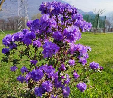 Valtellina Apartment | Cà del Poz