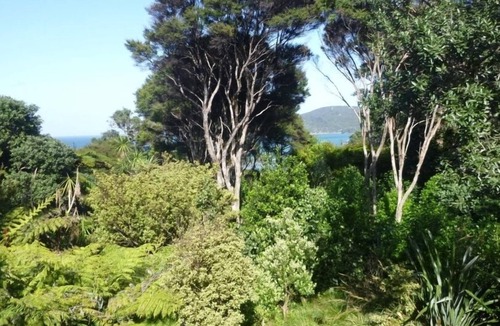 Tryphena House | Cabbage Tree Cottage: Cosy home with bush and beach beyond