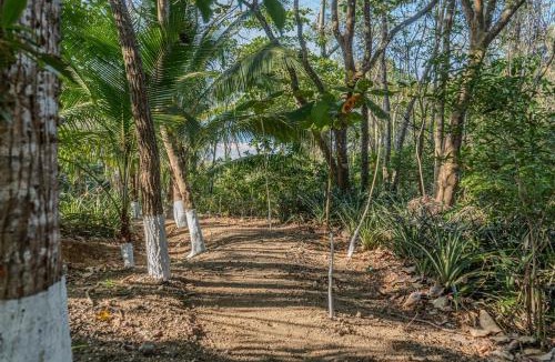 Islita Villa | Cara Cara - Luxury Beachfront Villa with Private Pool