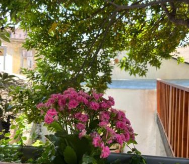 Mirandela House | Casa Cidade Jardim