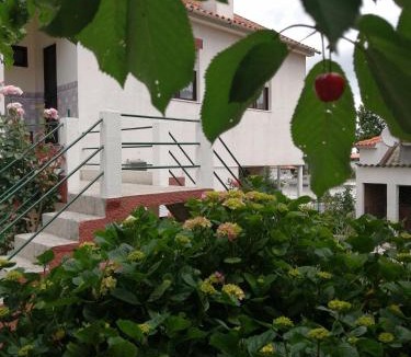 Tabuaco House | Casa do César Douro Guest House