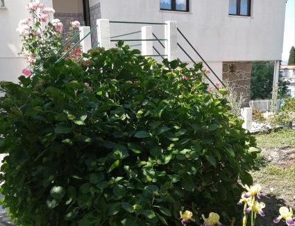Tabuaco House | Casa do César Douro Guest House