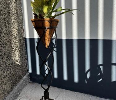 Sao Roque House | Casa Ribeiro