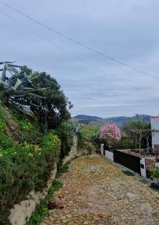Pinhao House | Casa Rodrigues