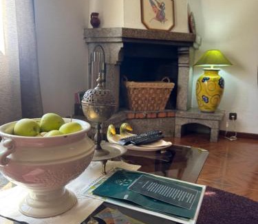 Lamego House | Casa Vicente