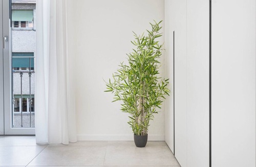 NoLo Apartment | Central Design Apartment – 10 min to Duomo