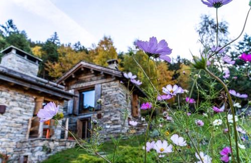 Valtellina House | Chalet Panorama Res Albert