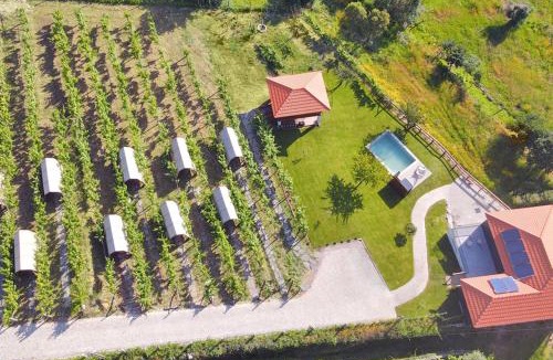 Castelo de Paiva House | Cimo da Vinha - Nature Spot