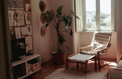 Se Nova House | Coimbra Erasmus House - Guest House