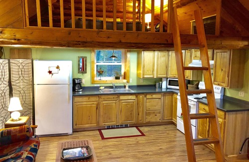 Nelson Cabin | Cozy Log Cabin in Pristine Nature