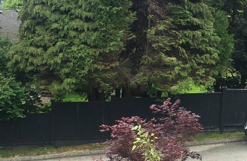 Upper Lonsdale House | Cozy Zen Den in North Vancouver