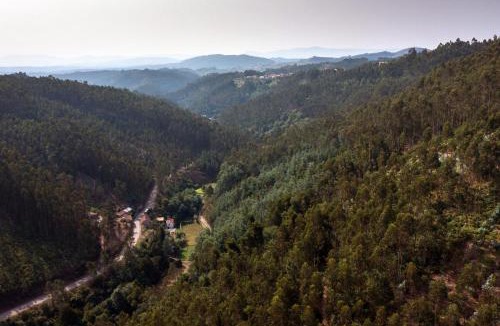 Penacova House | Encosta da serra do Bussaco Quintinha da Azenha