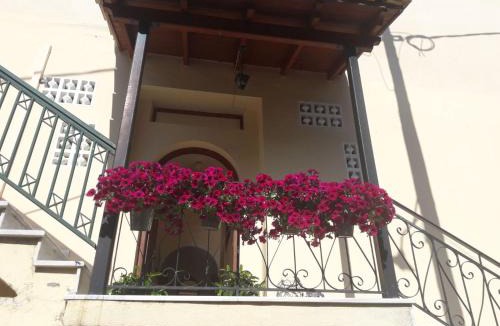 Benitses House | Flowers studios