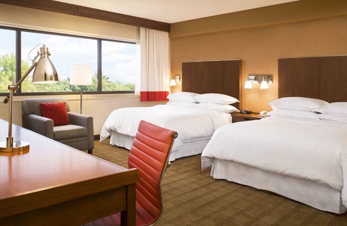 Moncton Hotel | Four Points by Sheraton Moncton