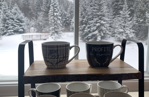 Notre-Dame-Des-Bois Ski Chalet | Genesis SPA and FOYER