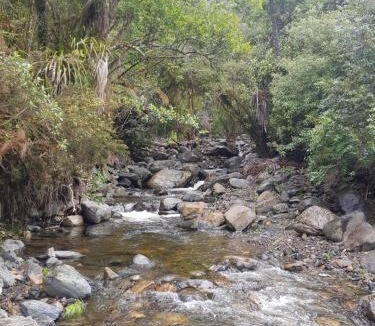 Takaka Other | Golden Bay Glamping