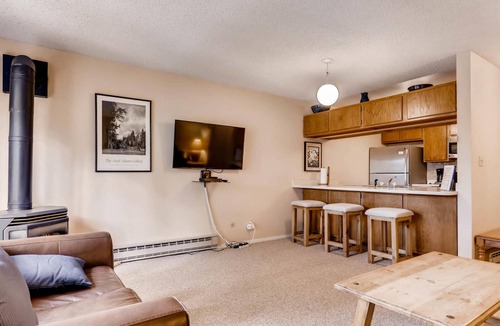 Peak 8 Condo | Grand Condo Near Downtown Breck - Booking for Summer & Winter 2026!