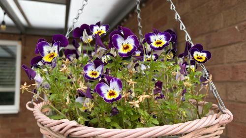 Coventry Villa | Happy Day -Walk to Warwick Uni & Cannon Park in Coventry that offers free parking 溫馨小居