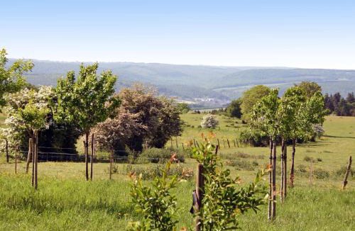 Mesnil-Saint-Blaise House | Holiday Home Gîte rural Mamijana by Interhome