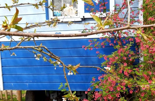 Hamois House | Homerez - Caravan in Hamois