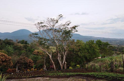 Rio Naranjo Apartment | Hospedaje La Guaca