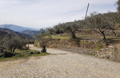 Vila Real Cottage | Hospital House - Guest House 2
