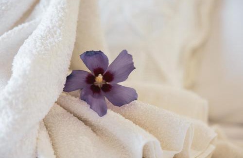 Vimioso Hotel | Hotel Rural Sra De Pereiras