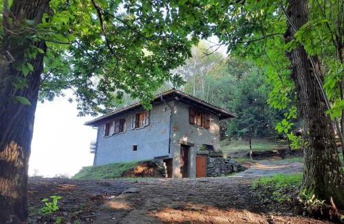 Naggio House | Il Castagneto di Carmen