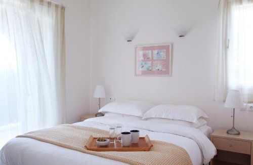Agios Prokopios Apartment | Kedros Villas