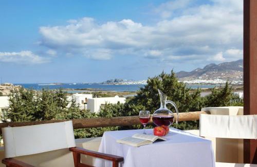 Agios Prokopios Apartment | Kedros Villas