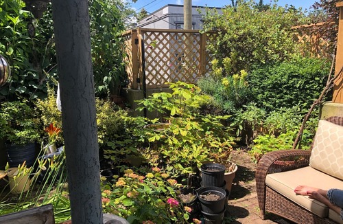 Kitsilano Apartment | Kits beach garden apartment. PETS+Children Welcome
