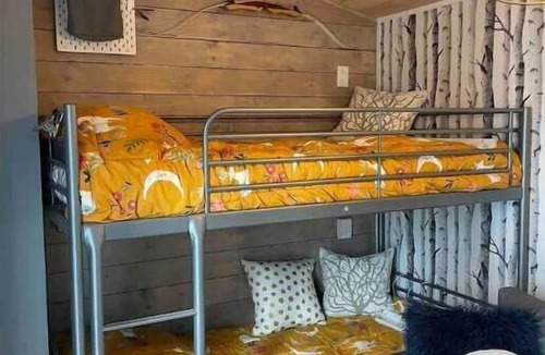 Central Kootenay House | Kootenay Lk & Mtn Views- Private Beach-Tiny Homes-Pet friendly- Sleeps 2-4