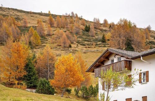Valtellina Apartment | La Baita Verde