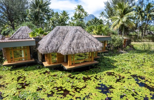Bora Bora Resort | Le Bora Bora by Pearl Resorts