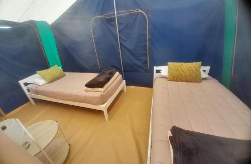 Leithfield Resort | Leithfield Beach Holiday Park