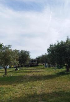 Sousel House | Lodge das Taipas