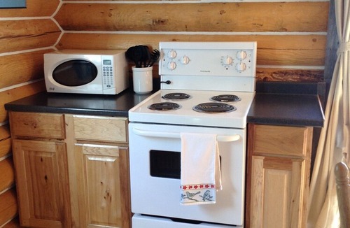 Yukon Cabin | Log Cabin with Amazing Mountain & Lake Views (allergy-friendly)
