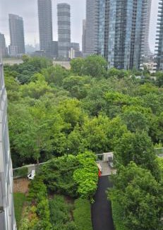 Humber Bay Apartment | Lovely condo near Lake Ontario