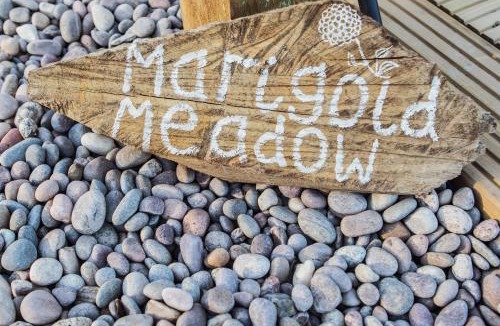 Alfriston Other | Marigold Meadow luxury bell tent glamping By Air Premier