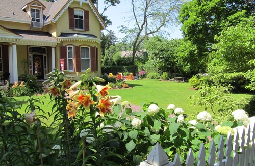 Old Town Historic District House | Marrakech Mansion: Pet friendly, 4 bedrooms, 3 bath. One block to Queen Street