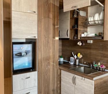 Shiligarnika Apartment | Mirabell Studio Bansko - Amazing view & fireplace