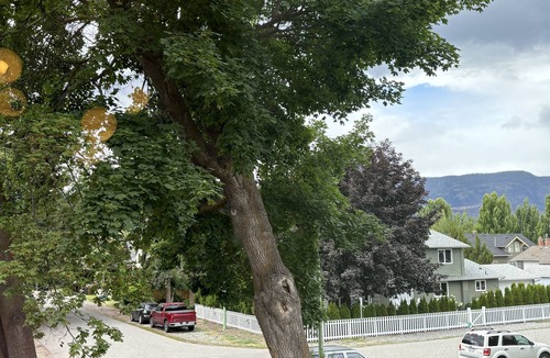 South Central Apartment | Modern 2BR Suite by the Beach | Walk to Hospital | Quiet & Bright Getaway