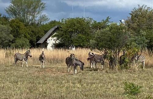 Leeupoort Villa | Mokaikai - The Soaring Eagle