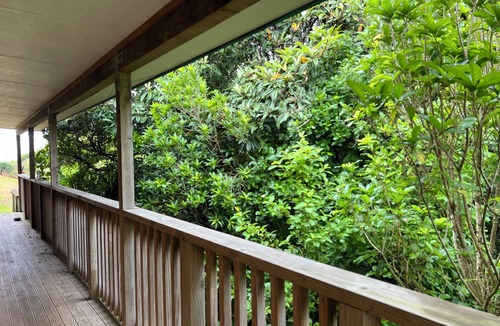 Tuateawa House | Mokoroa Retreat - peaceful location, pet friendly!