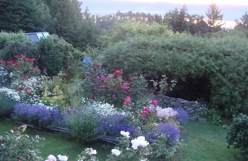 Salt Spring Island Apartment | Morningside Garden Suite on beautiful Salt Spring Island
