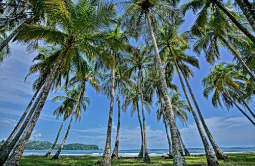 Puerto Carrillo Hotel | Nammbú Beach Front Bungalows