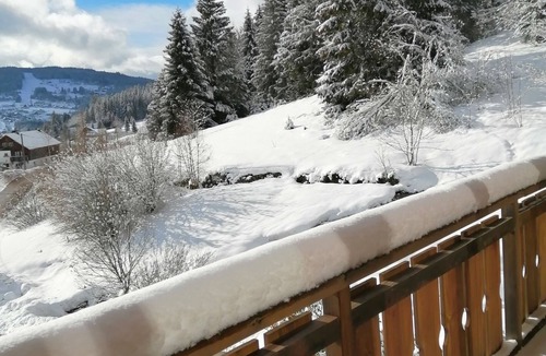 Xonrupt-Longemer Ski Chalet | Nature, forest edge, stream, bbq, sauna, wifi, billiards, electric charging station