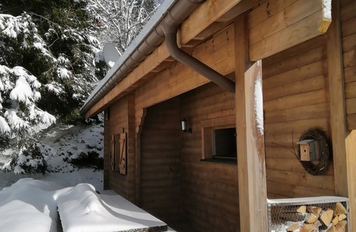 Xonrupt-Longemer Ski Chalet | Nature, forest edge, stream, bbq, sauna, wifi, billiards, electric charging station